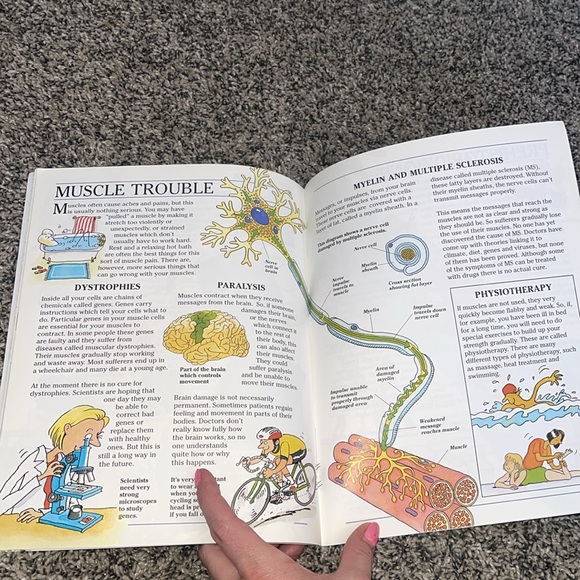 Kids book paperback science book understanding your muscles and bones - Picture 7 of 14